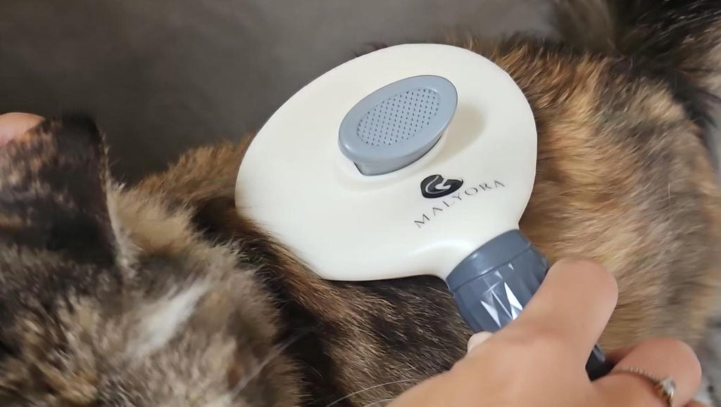 Brosse de Toilettage Malyora