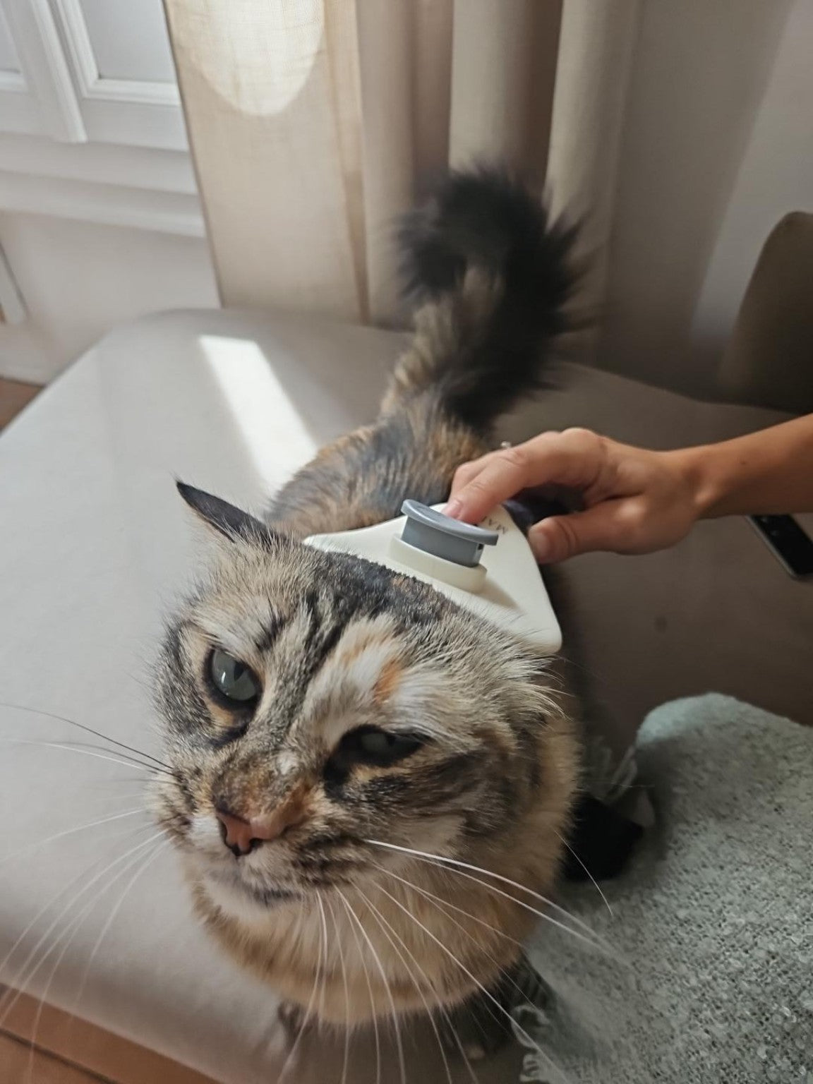 Brosse de Toilettage Malyora
