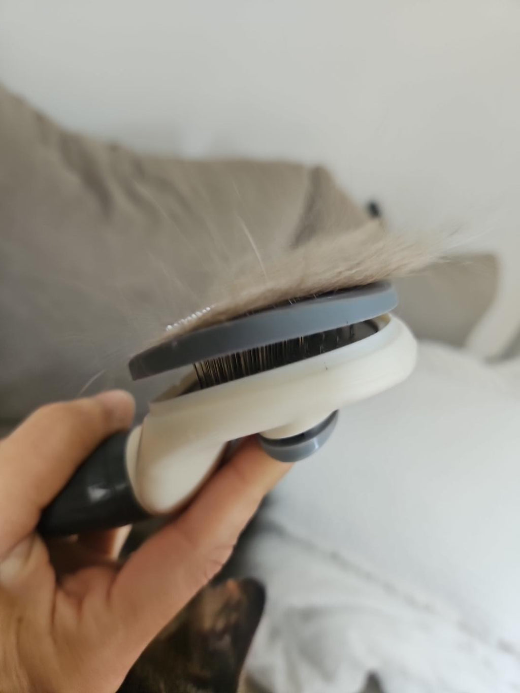 Brosse de Toilettage Malyora