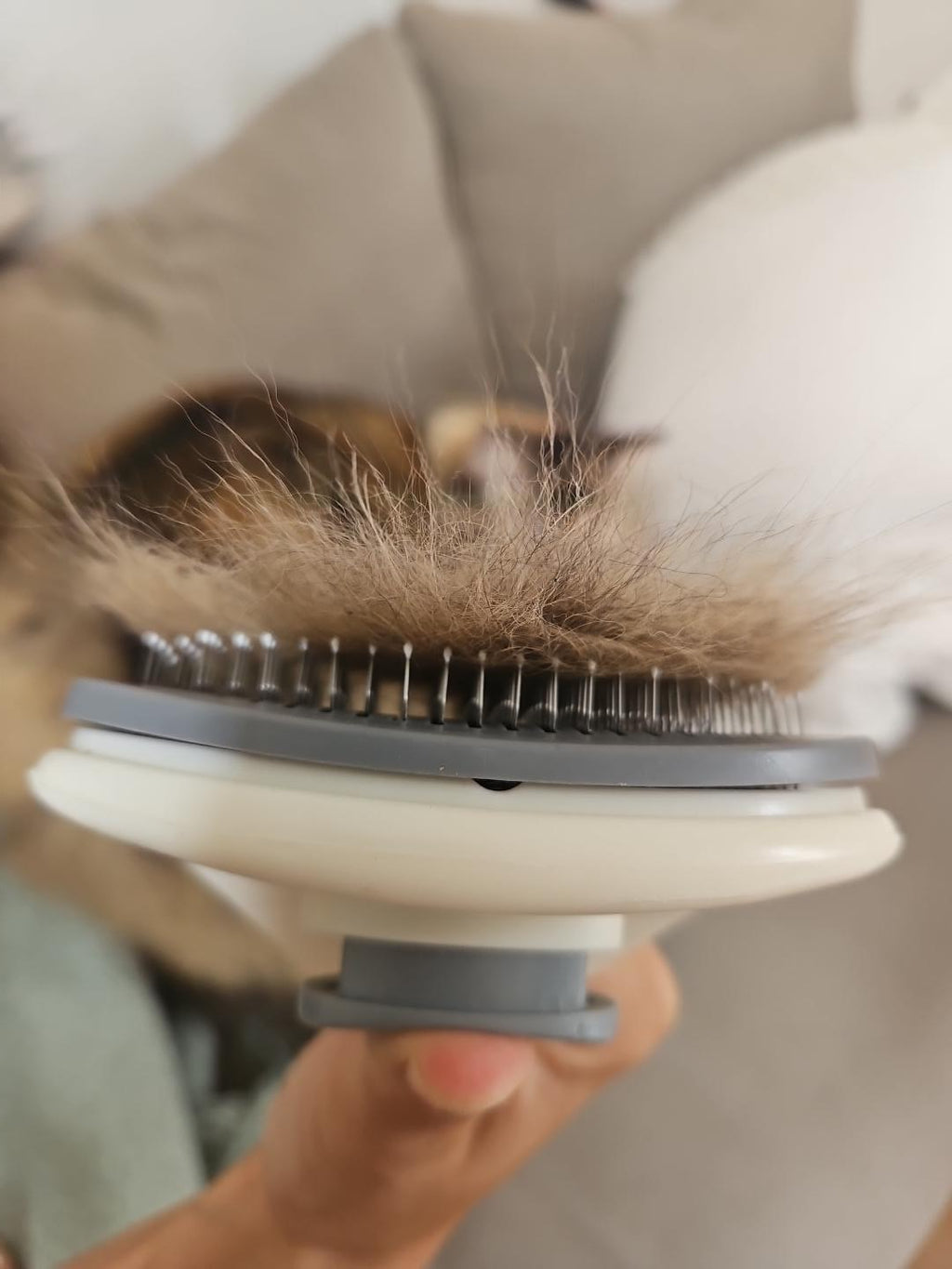 Brosse de Toilettage Malyora